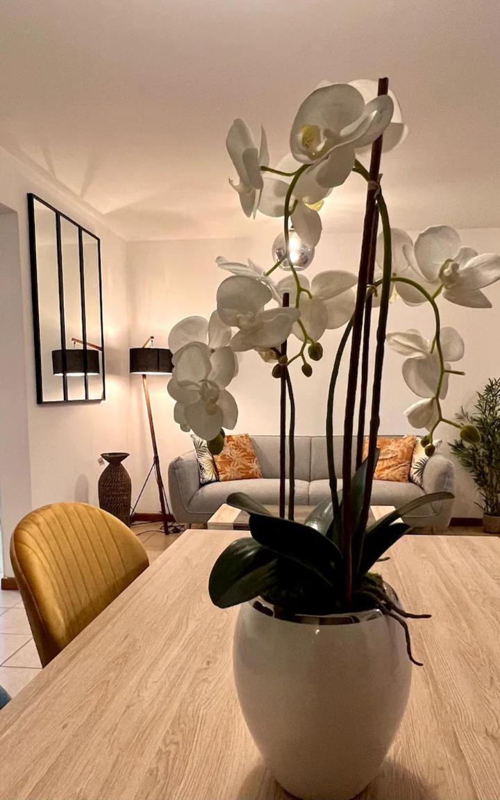 Chez Gerard Apartment แซ็ง-ปีแยร์ ภายนอก รูปภาพ